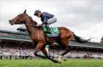 Tuesday, em recorde, ganha a BC Filly & Mare Turf (G1)