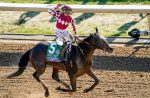 Wonder Wheel atropela forte para vencer a BC Juvenile Fillies (G1)