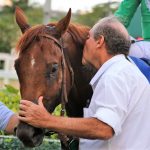 Pedigrees da semana: Online, Unorthodox, Pleasant Prize, Luminosidad e Lord Normando