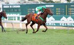 Online domina o GP Antonio Joaquim Peixoto de Castro Jr. (G2)