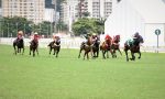 Fique de olho nas próximas transmissões da Tv Turfe