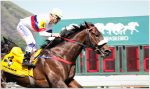 Pedigree da semana: To Sir With Love