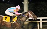 Pedigrees da semana: Liveordie e John Bull