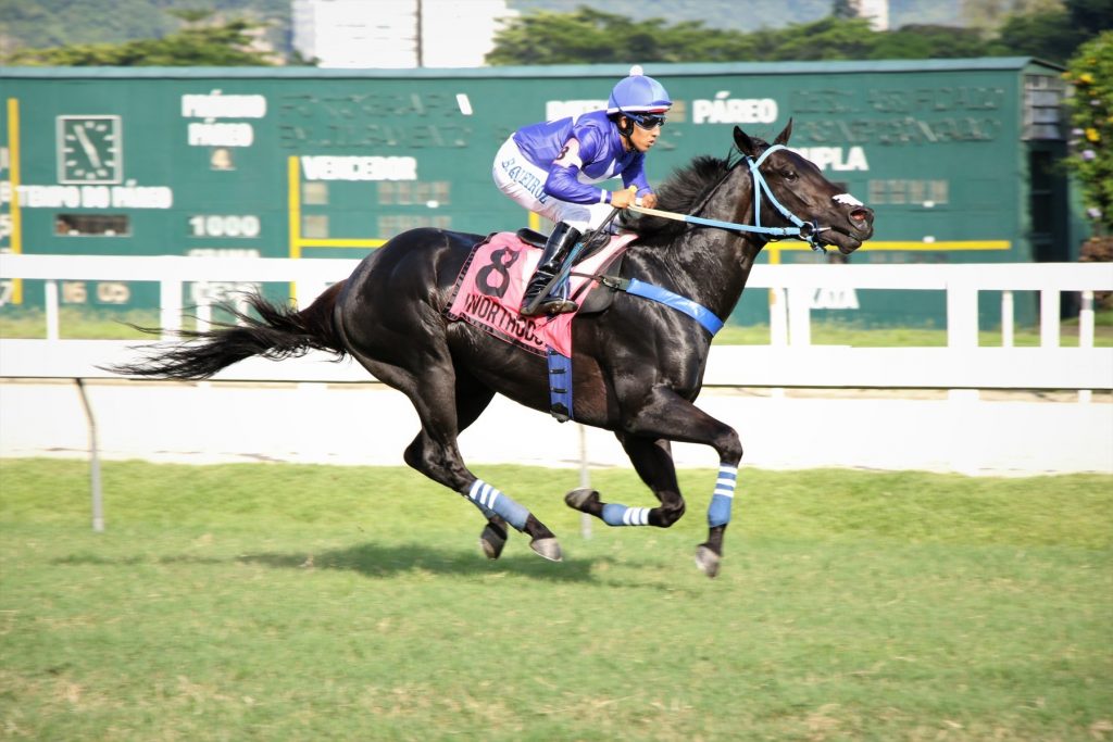 Aconteceu – GP Cordeiro da Graça (G2)