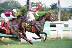 High Wire resiste a Just Like para levantar o GP Marciano do Aguiar Moreira (G2)