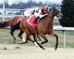 In Love vence stakes em Turfway Park