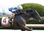 Aqueduct: Cigar Mile Handicap (G1) é atração no sábado da Tv Turfe