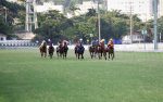Arenáticos disputam uma última carreira do calendário clássico de 2022 na Gávea