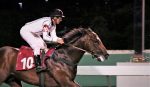 Justiceiro Colt, o melhor na P.E. João Vieira