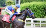 Kitten’s Moment, do Stud Instante Mágico, vence 1ª eliminatória da Geração 2020 no JCB