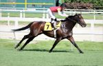 Saint Barth domina com sobras a P.E. Wild Event