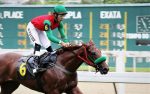 Estimate, uma Camelot Kitten, vence a 2ª disputa da Geração 2020 na Gávea