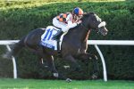 Ivar e Justify My Love correm provas da Pegasus, no sábado (28), em Gulfstream Park