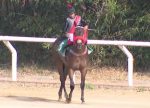 Quilate do Iguassu dá o bi do Turfe Gaucho à Família Pelanda