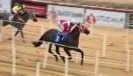 Uma potranca e quatro potros na final do 54º Turfe Gaúcho