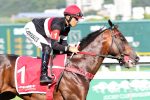 Pedigree da semana: London Moon e Regal Nemesis