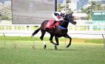 Galeria de Fotos – Confira os vencedores deste DOMINGO (29/01) no JCB
