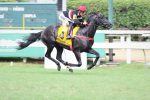 Com Seletivas realizadas, II Copa Precocidade e Velocidade ABCPCC conhece seus 16 classificados