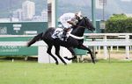 My Inmortal, um vareio na Seletiva B da Copa Precocidade e Velocidade ABCPCC