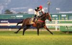 London Moon segue impressionante com vitória firme no GP Estado do Rio de Janeiro – Araras Blood & Power (G1)