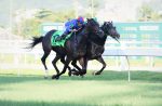 GP Henrique Possolo – Araras Blood & Power (G1), 17 competidoras e a promessa de muita emoção