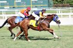 Katrin supera suas rivais na P.E. Agnes Gold