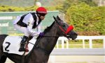 Galeria de Fotos – Confira os vencedores deste DOMINGO (26/02) no JCB