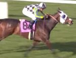 Com TJ Pereira “up”, Macadamia vence allowance em Santa Anita