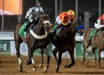 Commissioner King vence o Saudi Derby (G3). És-Unico finaliza em quarto e Loreley descoloca-se