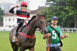 Pedigrees da semana: London Moon, Twist and Shout, Just Like e Keep Kooler