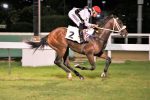 Haras Old Friends terá dupla internacional montando suas potrancas no Possolo