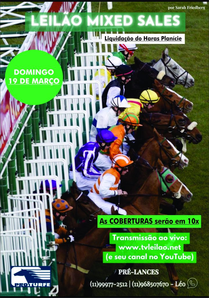 O atributo alt desta imagem está vazio. O nome do arquivo é 1132023104434_CAPA-720x1024.jpg