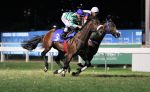Em final emocionante, vitória de Ribboninthesky na P.E. Waldmeister