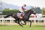 ADDED – GP Diana (G1) – Araras Blood & Power – 2ª Etapa da Tríplice Coroa de Potrancas