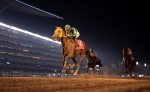 De último a primeiro, Ushba Tesoro conquista a DWC 2023