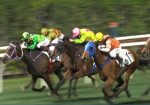 Uttori vence handicap em Hong Kong