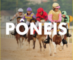 Domingo, 19/03, tem corridas de pôneis e recreação gratuita no hipódromo!