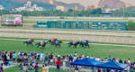 A recreação infantil gratuita do Jockey aos domingos já é um sucesso