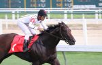 Pedigree da semana: Justiceiro Colt