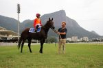 Pedigrees da semana: Silenciadora, Quantify, Figaro, High Wire e Online