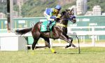 Pedigree da semana: Estimate e Kitten’s Moment