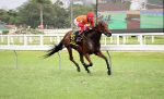 Domínio de Pastime no GP Euvaldo Lodi (G3)