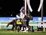 Atropelada sensacional de Lah Lah Lah para conquistar o GP Zélia G. P. de Castro (G1) – Araras Blood & Power