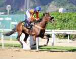 Galeria de Fotos – Confira os vencedores deste DOMINGO (16/04) no JCB