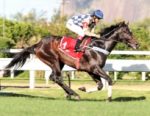 Oceano Azul esbanja classe ao reaparecer vencendo o GP José Paulino Nogueira (G3)