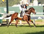 Raptor’s e a glória do Derby