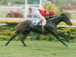 JCB celebra Coray, a 1ª Derby-winner do século XXI