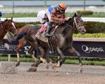 Forte carimba o passaporte para a Coroa Americana com triunfo no Florida Derby (G1)