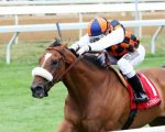In Love corre G1 em Keeneland com a presença do fantástico Modern Games