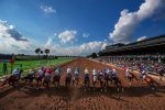 Sábado (08) com três preparatórias para o Kentucky Derby (G1) na Tv Turfe